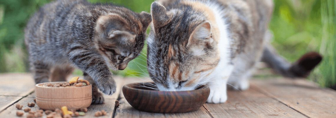 [paste advice page name here]